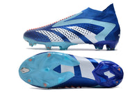 Adidas Predator Accuracy +